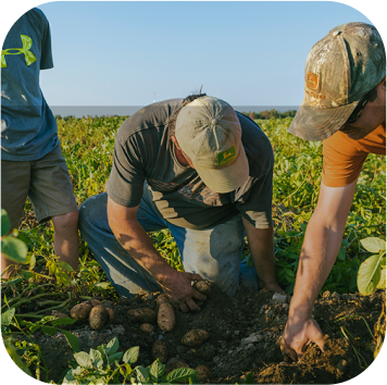 Nuestros productores